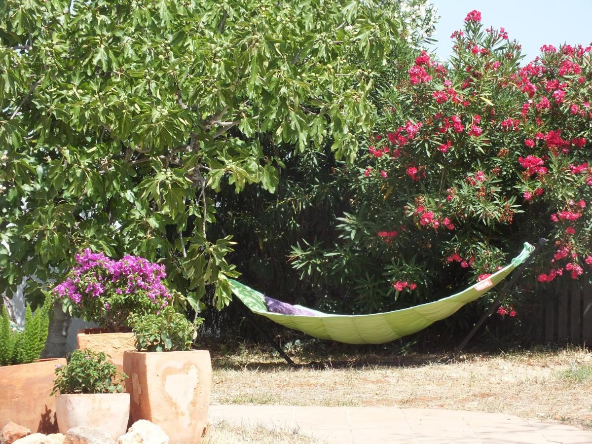 Buena Idea - Adults Only Panzió Jalón Kültér fotó